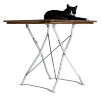 Bier tuinmeubelen met onze kat 04bg