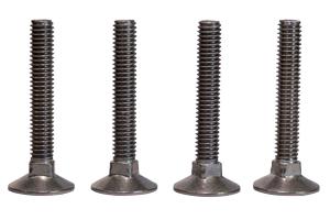 Roestvrij stalen Biertafel Schroeven