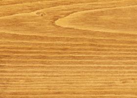 Schaduw van robinia op sparren